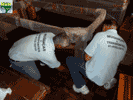 transportes e mudanças